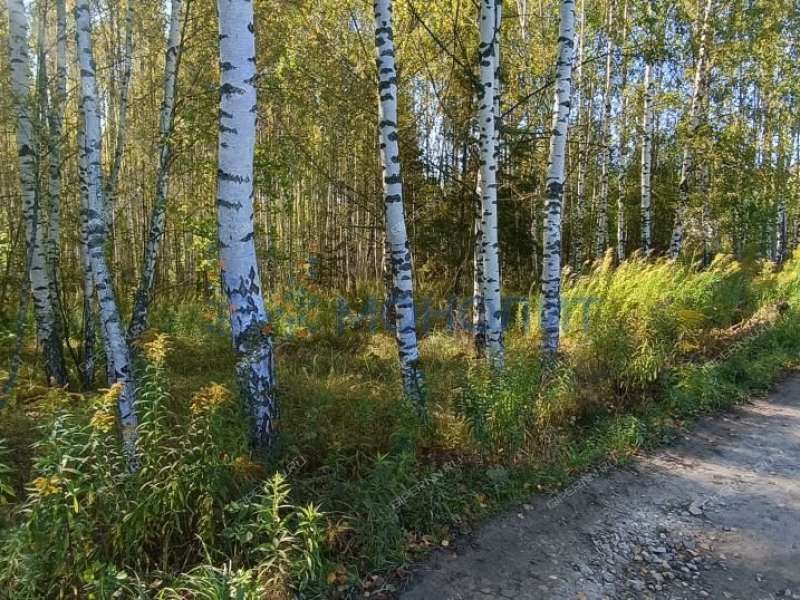 земельный участок 30 соток ТИЗ Елховка - Березовая улица село Елховка