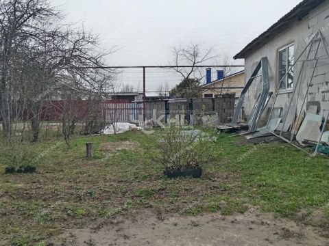 dom-derevnya-kovrigino-kovriginskiy-selsovet-gorodeckiy-rayon фото