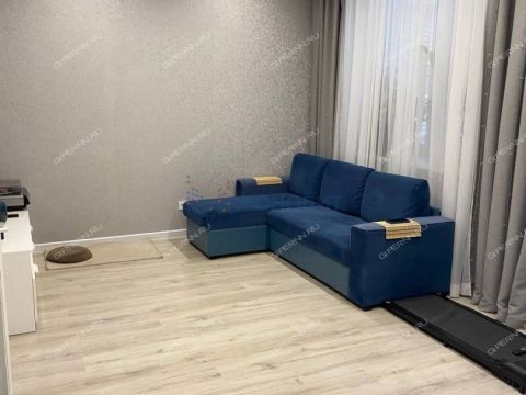 taunhaus-pr-urozhaynyy-d-3 фото