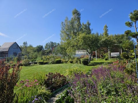 dacha-derevnya-yulovka-dalnekonstantinovskiy-rayon фото