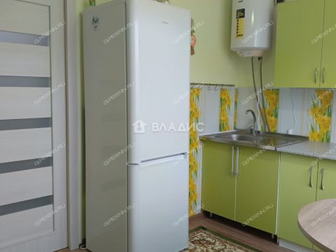 1-komnatnaya-derevnya-berezovka-bogorodskiy-municipalnyy-okrug фото