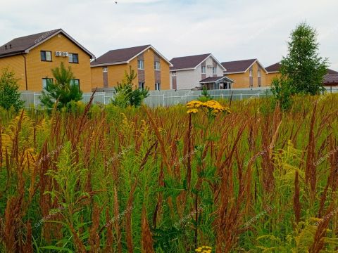 gorod-bor-gorodskoy-okrug-bor фото