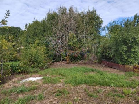 derevnya-nikulskoe-kstovskiy-rayon фото