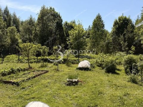 dom-derevnya-hmelnichnoe-gorodskoy-okrug-chkalovsk фото