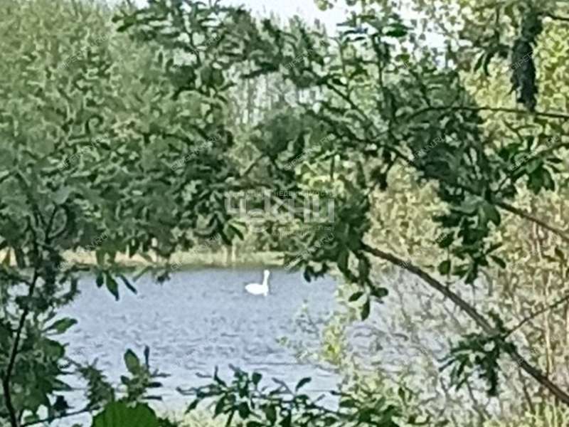 1/2 дома на Дачной улице рабочий посёлок Лукино