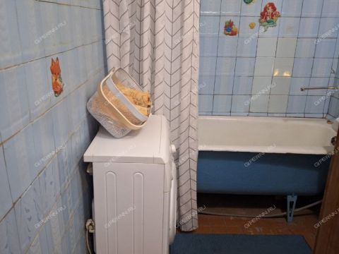 1-komnatnaya-ul-miroshnikova-d-3b фото