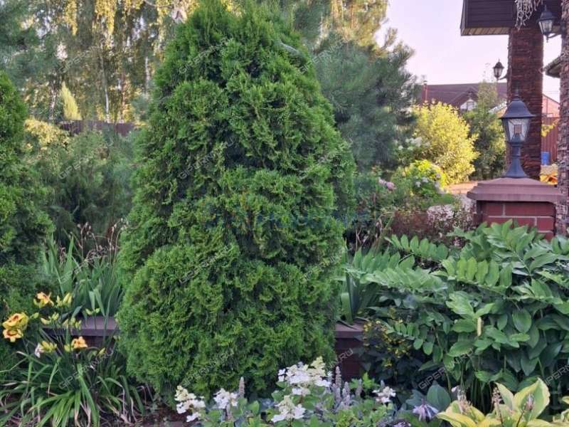 коттедж на улице Ясная село Безводное