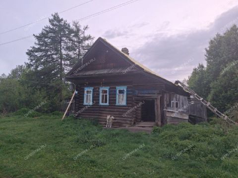 dom-derevnya-martynovo-gorodeckiy-rayon фото