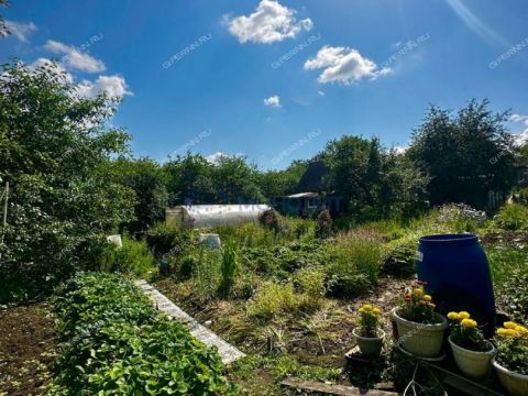 dacha-snt-druzhba-snt-druzhba фото