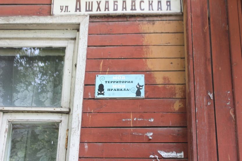 Фото: Анна Синаревская / gipernn.ru