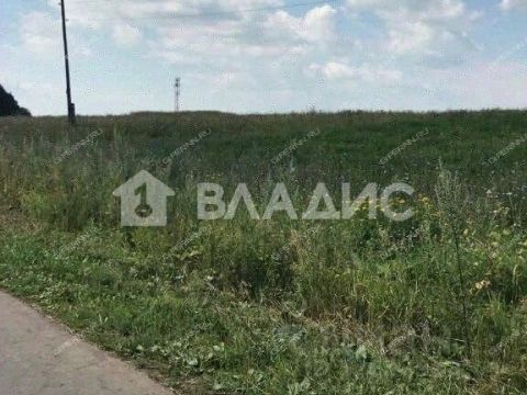 derevnya-inyutino-bogorodskiy-municipalnyy-okrug фото