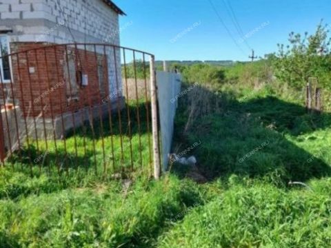 dom-selo-ichalki-perevozskiy-gorodskoy-okrug фото