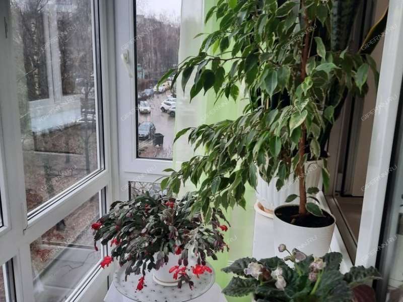 комната в доме 2 на улице Героя Советского Союза Усилова