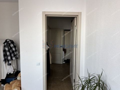 2-komnatnaya-derevnya-ankudinovka-kstovskiy-rayon фото