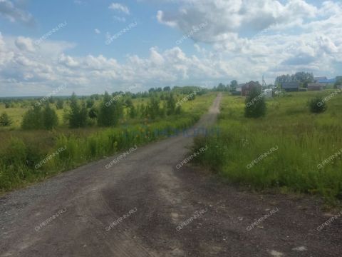 selo-efimevo-bogorodskiy-municipalnyy-okrug фото