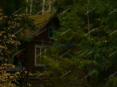 derevnya-syrohvatovo-gorodskoy-okrug-bor фото