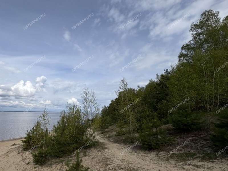 земельный участок 19,57 сотки - деревня Бушнёво