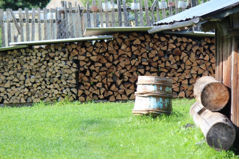Фото: Ксения Ражева / gipernn.ru