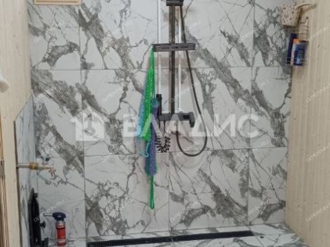 derevnya-berezovka-bogorodskiy-municipalnyy-okrug фото