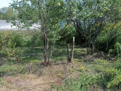 derevnya-yagodnoe-bogorodskiy-municipalnyy-okrug фото