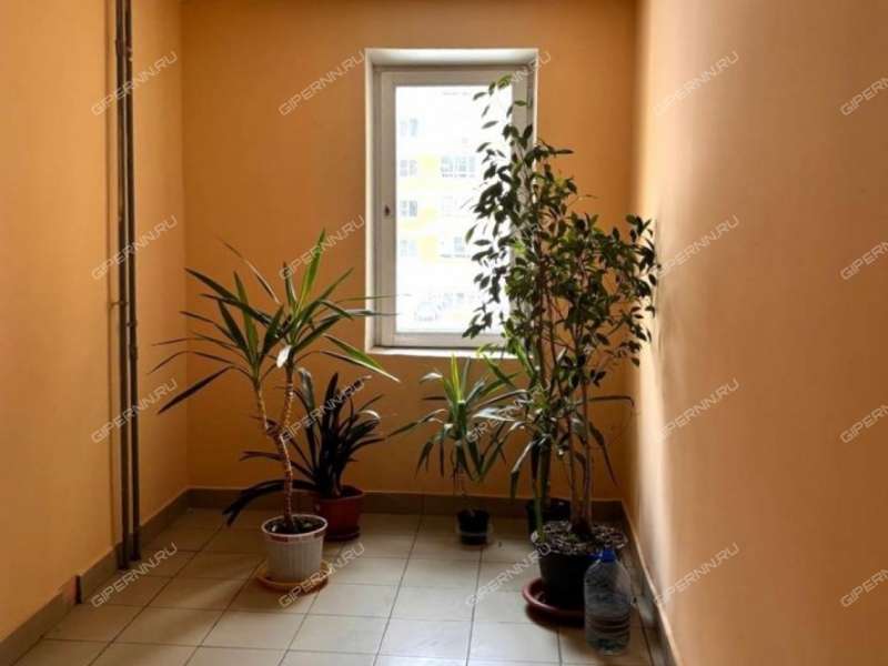 трёхкомнатная квартира на Союзном проспекте дом 2А