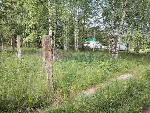 derevnya-chapurda-bogorodskiy-municipalnyy-okrug фото
