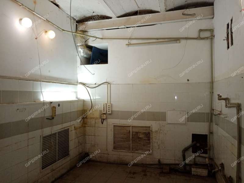 готовый бизнес 1 этажное здание с цокольным этажом на зем.уч. 7.6 сот. в Богородском районе Нижегородской области