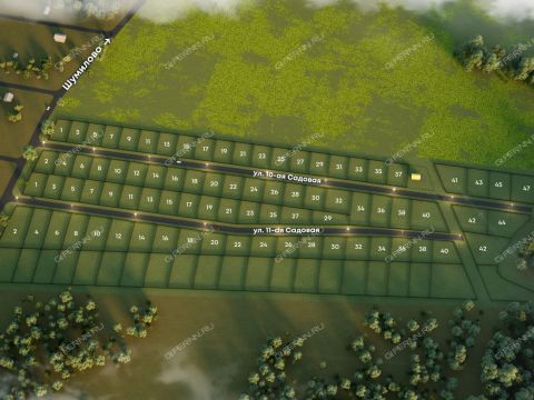 derevnya-shumilovo-bogorodskiy-municipalnyy-okrug фото