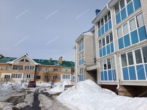 1-komnatnaya-selo-diveevo-diveevskiy-municipalnyy-okrug фото