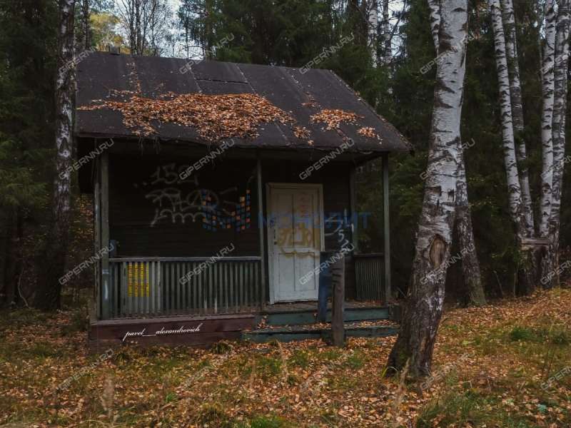 земельный участок под коммерческое использование в городском округе Бор Нижегородской области