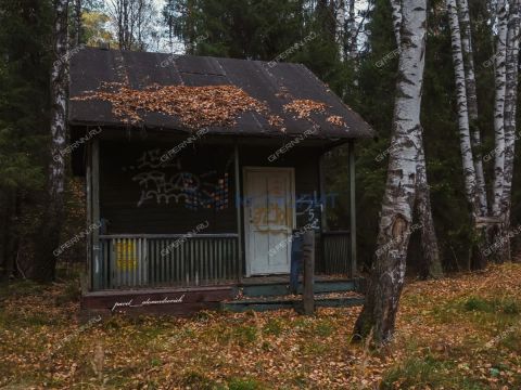 derevnya-syrohvatovo-gorodskoy-okrug-bor фото
