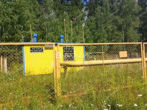 derevnya-inyutino-bogorodskiy-municipalnyy-okrug фото