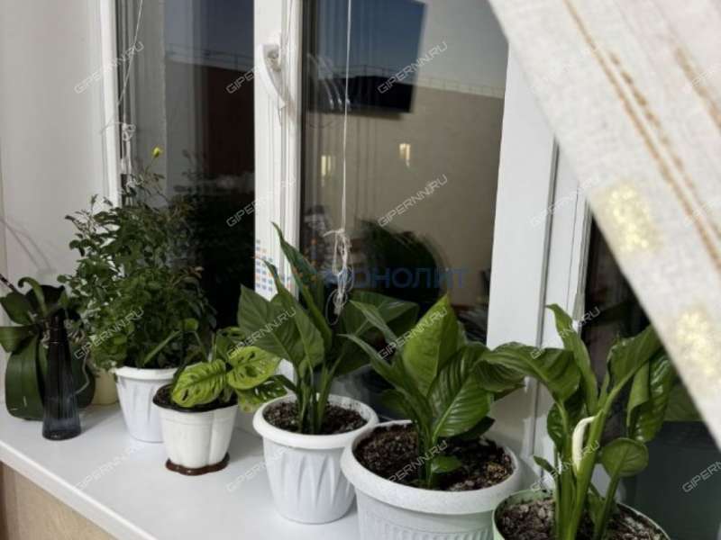 однокомнатная квартира на Полевой улице дом 58