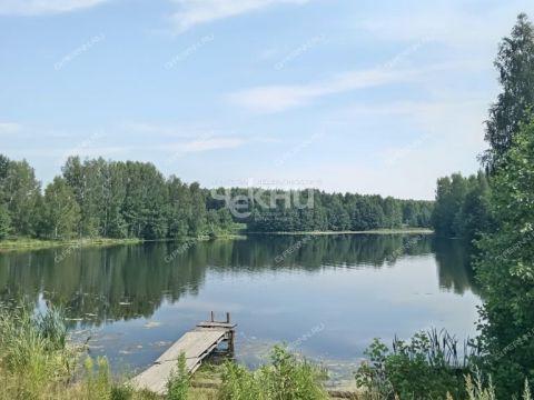 dom-derevnya-dolgusha-gorodeckiy-rayon фото