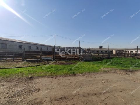 derevnya-mednikovo-gorodskoy-okrug-chkalovsk фото