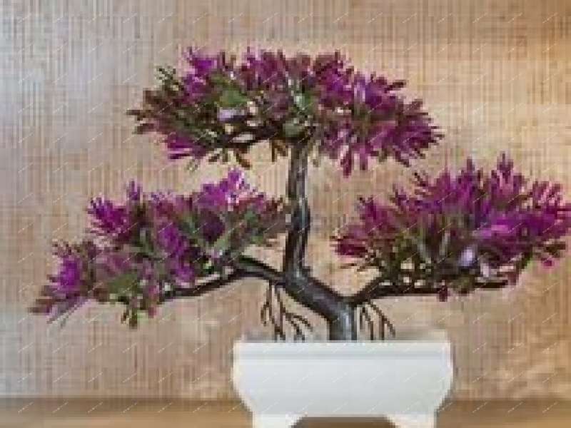 квартира-студия на Бурнаковской улице дом 93