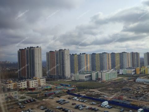 2-komnatnaya-derevnya-ankudinovka-kstovskiy-rayon фото