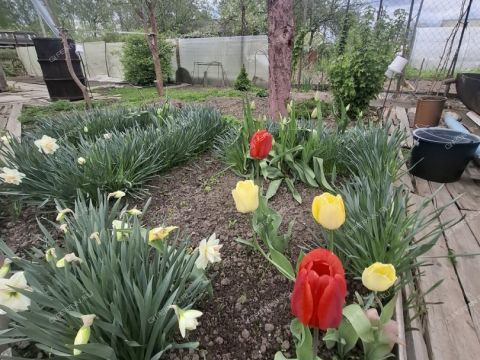 3-komnatnaya-selo-chernuha-kstovskiy-rayon фото