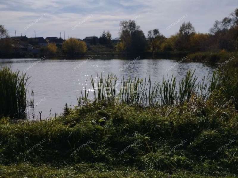 дом на Центральной улице село Григорово