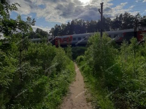dacha-snt-n8-oao-gaz-gorodskoy-okrug-bor фото