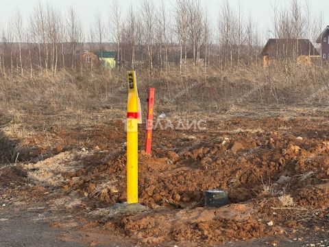 kottedzhnyy-poselok-snegiri-bogorodskiy-municipalnyy-okrug фото