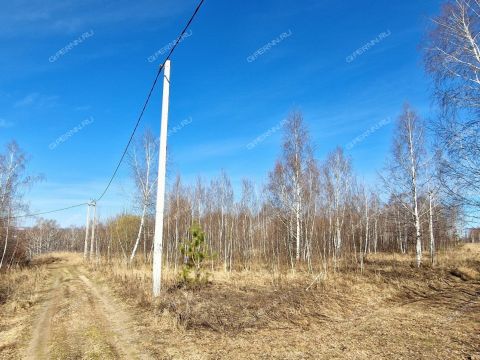 derevnya-novolikeevo-kstovskiy-rayon фото