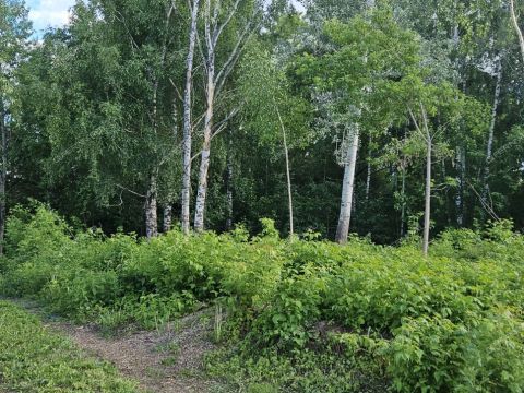 leninskiy-rayon фото