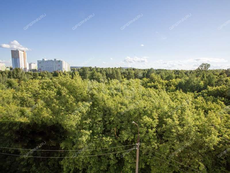 трёхкомнатная квартира на улице Левинка дом 1