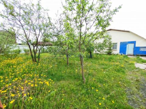 dacha-snt-nadezhda фото
