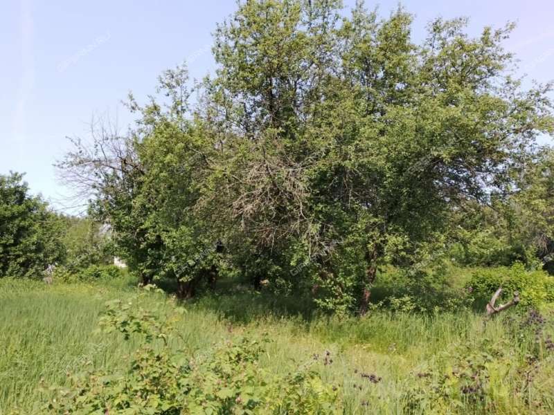 земельный участок 10,5 сотки СНТ Пыра-1 город Балахна