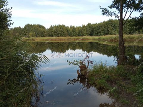 derevnya-kubaevo-bogorodskiy-municipalnyy-okrug фото