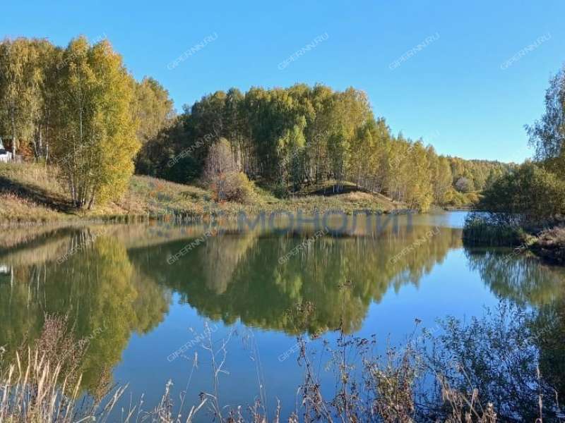 земельный участок 10 соток Новосибирская улица деревня Гремячки