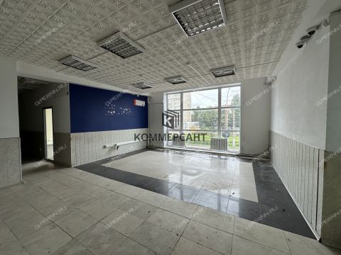 ul-vedenyapina-d-14a фото