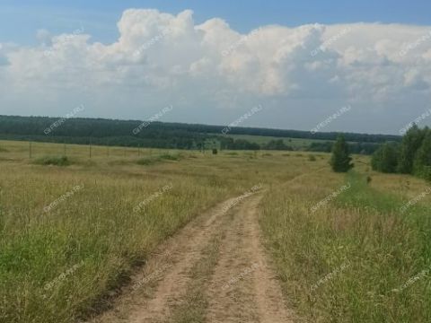 derevnya-maloe-seskino-dalnekonstantinovskiy-rayon фото